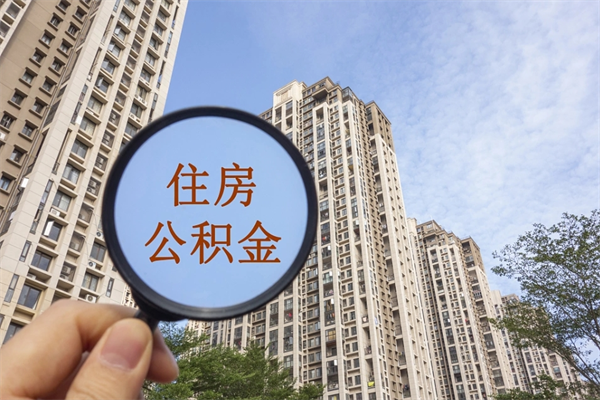 老河口深圳公积金贷款政策2024最新（老河口深圳公积金贷款2021）